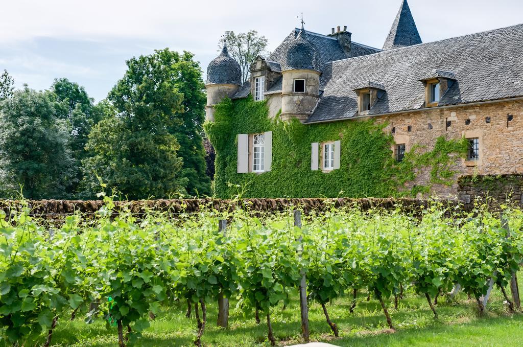 Chateau De Labro - Teritoria Onet-le-Château Esterno foto